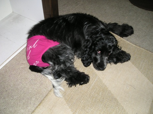 Berry 16.7.2010 (5).jpg